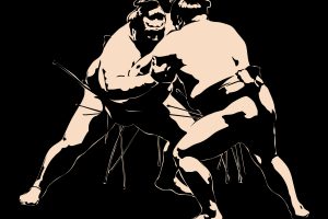 quel age : jouer combat de sumo